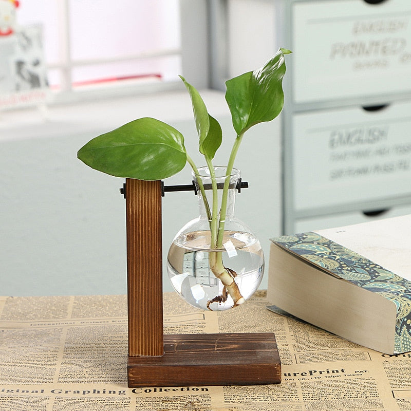 Vintage Hydroponic Plant Vases Glass Vase Vintage Bonsai Flower Pot Terrarium Tabletop Tray Wooden Frame Home Decoration