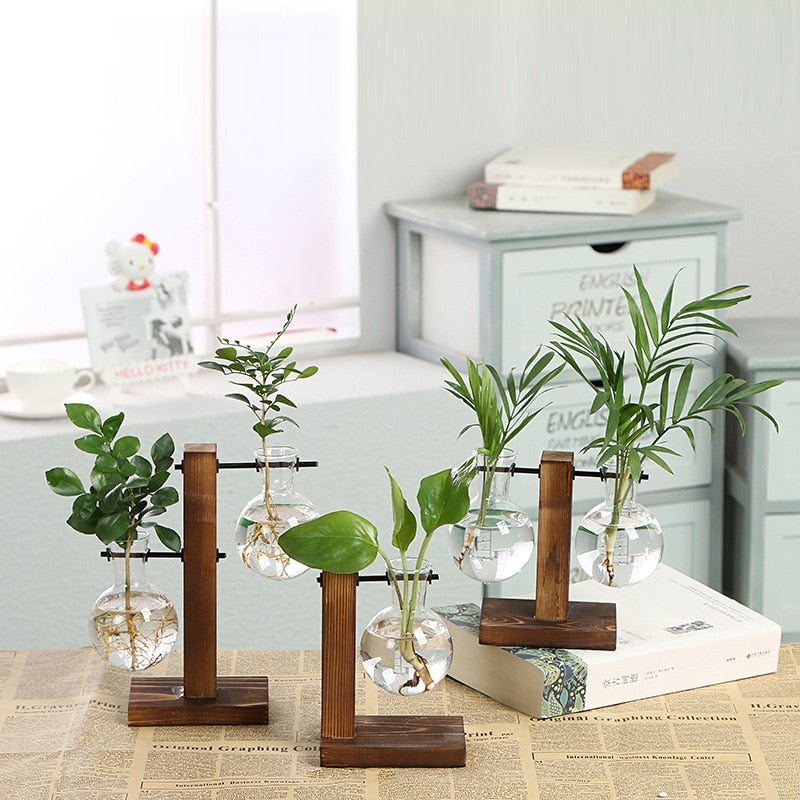 Vintage Hydroponic Plant Vases Glass Vase Vintage Bonsai Flower Pot Terrarium Tabletop Tray Wooden Frame Home Decoration